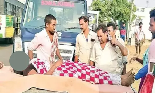 Monkey saves woman and three childrens