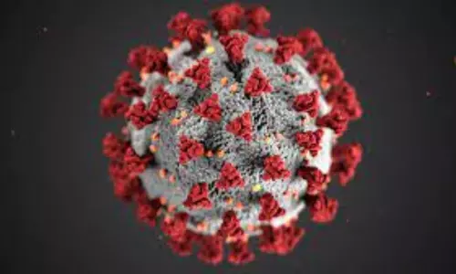 4,228 New Coronavirus Cases Reported in Andhra Pradesh on 13th April 2021 4,228 New Coronavirus Cases Reported in Andhra Pradesh on 13th April 2021