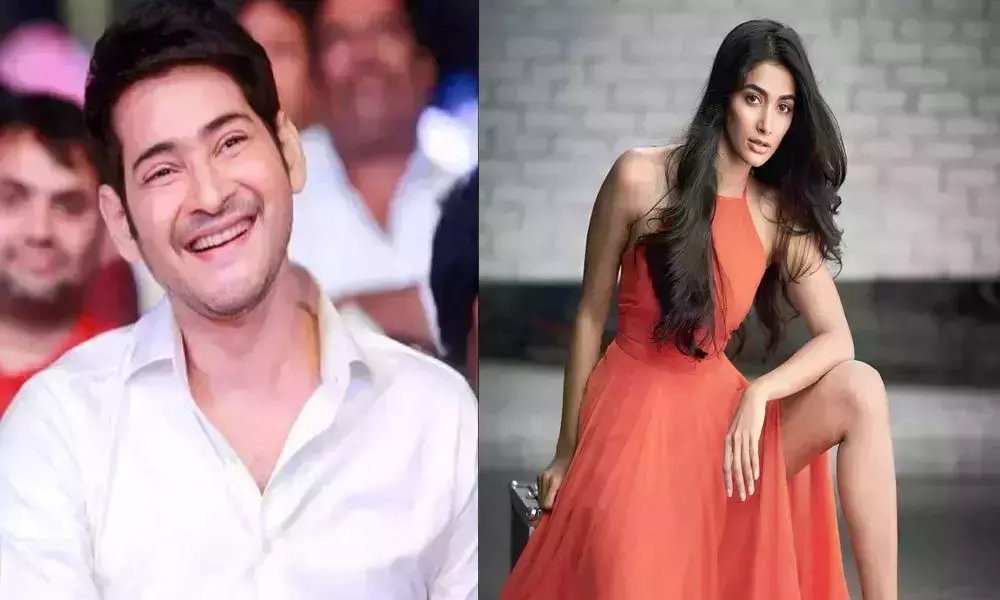 Pooja Hegde to Romance Mahesh Babu in Her Next Movie | Pooja Hegde New Movie