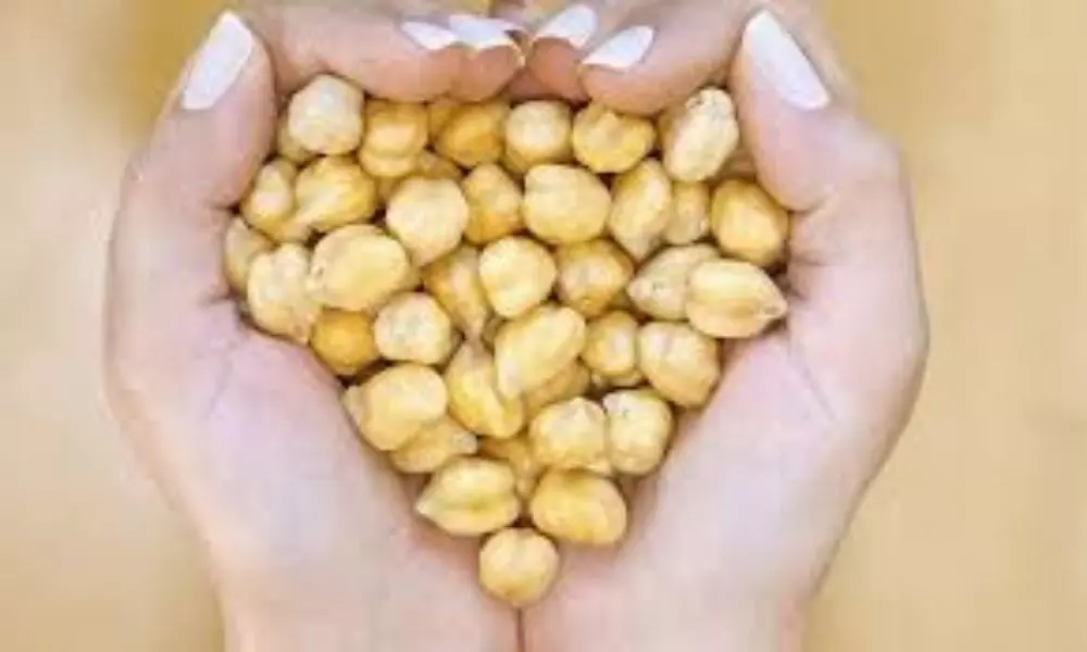 Chickpeas Health Benefits and Nutrition Facts | Side Effects | Chickpeas Benefits for Skin and Hair