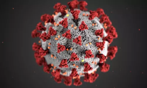 corona virus corona virus