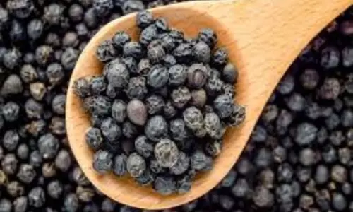 Black Pepper Health Benefits | King of Spices | Side Effects