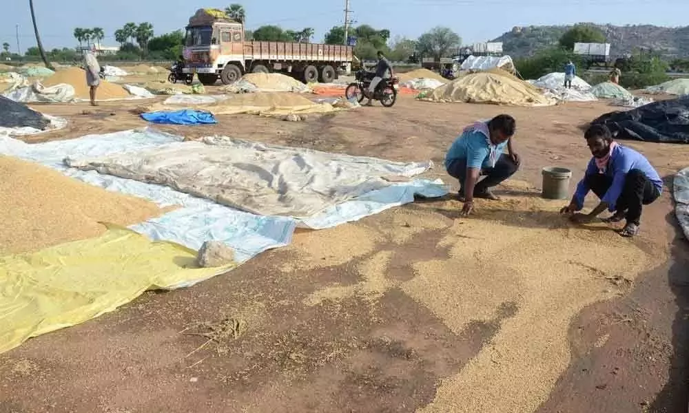 Huge Crop loss in Peddapalli Due to Unseasonal Rain