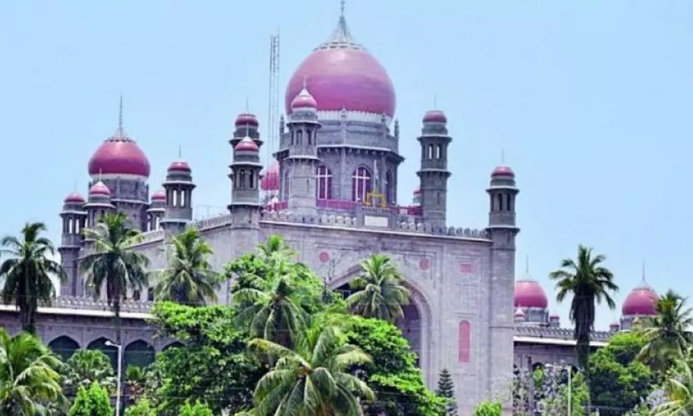 Telangana High Court Serious On TS Govt For Neglecting