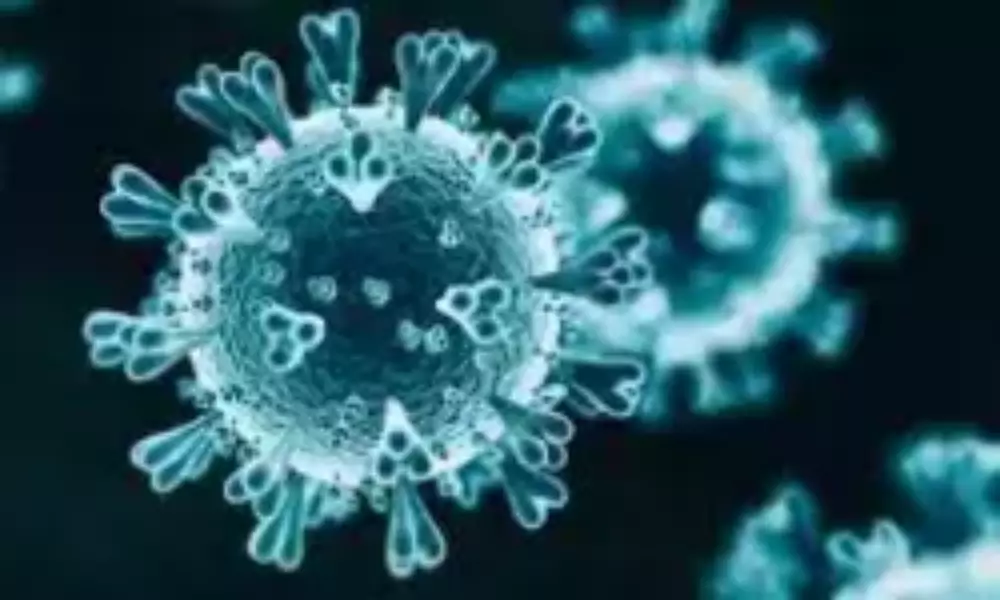 Corona Virus