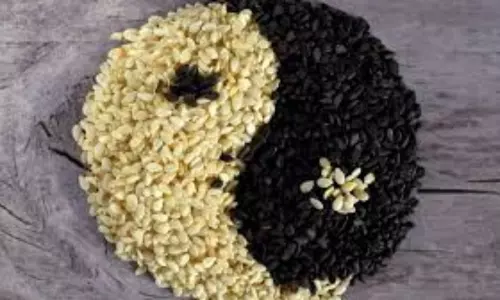 Health Benefits of Sesame seeds Health Benefits of Sesame seeds