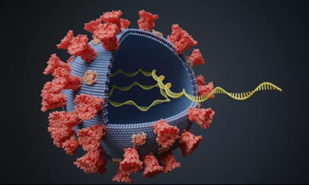 Coronavirus Mutations and Symptoms are keep on Changing
