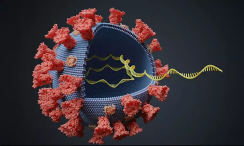 Corona Virus Cases Filed In  AP