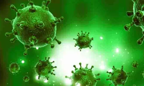 Daily Corona Cases Raising Rapidly in UP Delhi Haryana Uttarakhand States of India Daily Corona Cases Raising Rapidly in UP Delhi Haryana Uttarakhand States of India