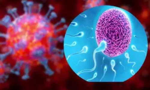 corona virus telangana corona virus telangana