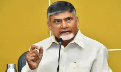 Chandrababu Naidu Says N440K Coronavirus Spread in AP