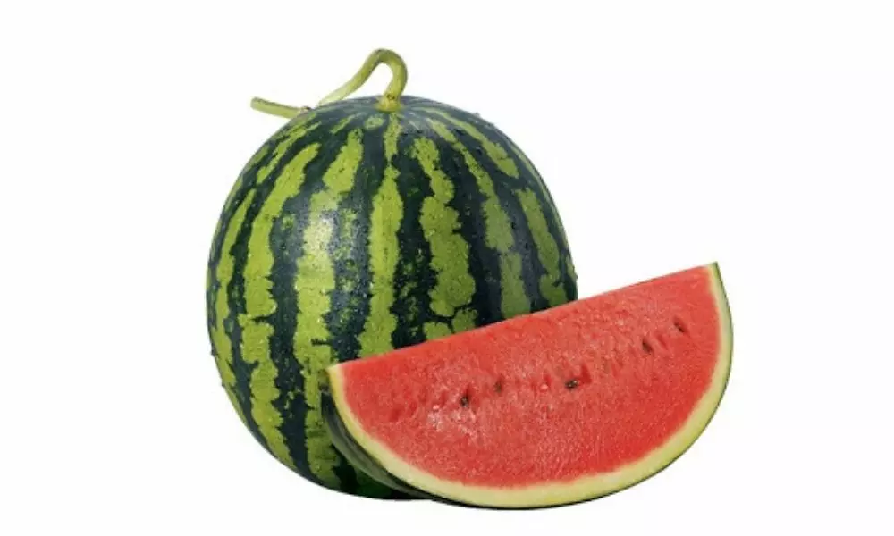 How to Pick a Good Watermelon - Useful Tips