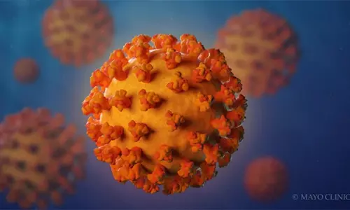 Three Villages are Free From Coronavirus till now in Nirmal District Telangana