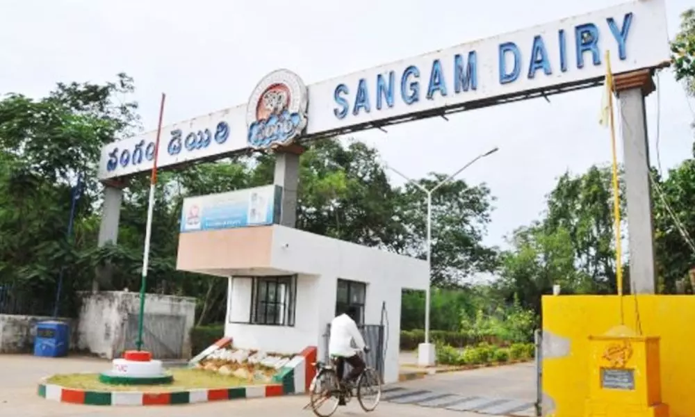 Shock to AP Government in Sangam Dairy Case