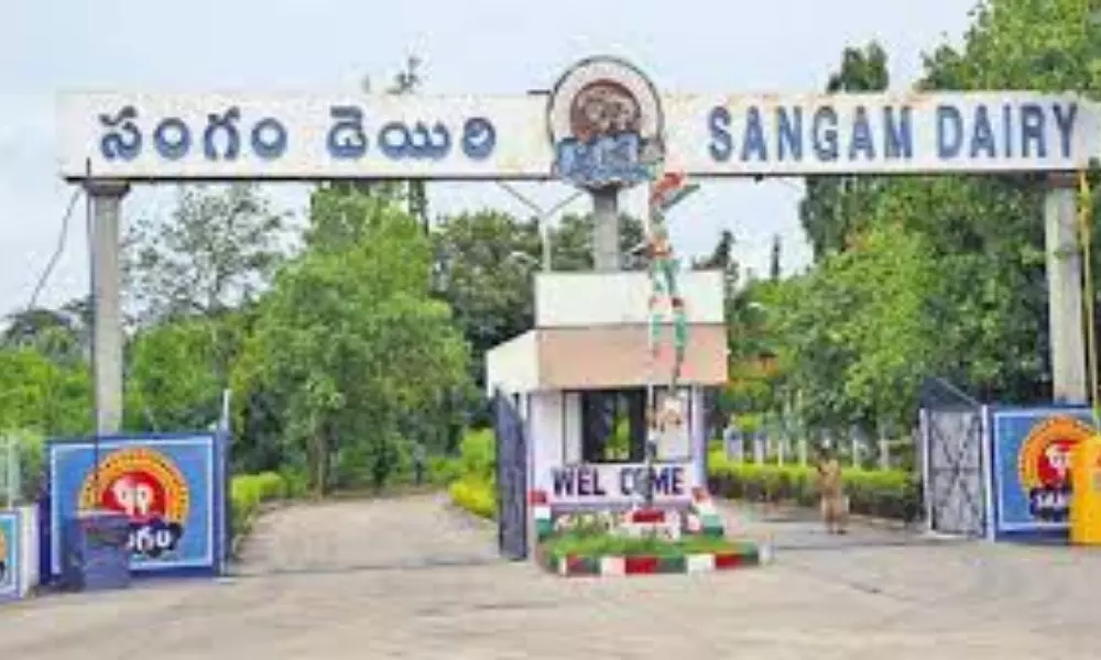 Sangam Dairy