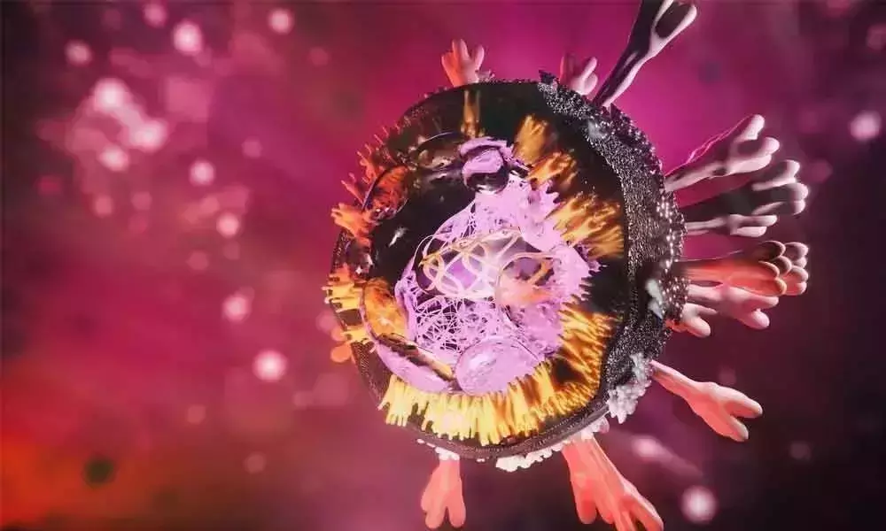 Corona Second Wave Fear to Pregnant Women Corona Second Wave Fear to Pregnant Women