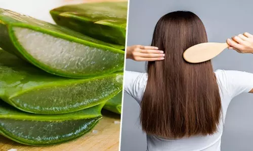 Aloe Vera For Good Hair Aloe Vera For Good Hair
