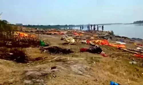 Dead Bodies in Ganga River Dead Bodies in Ganga River