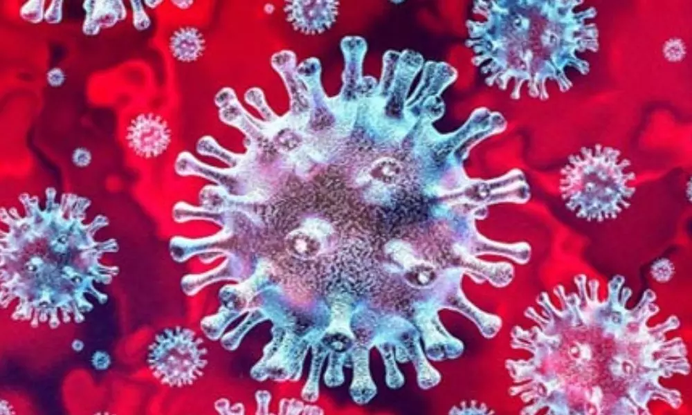 21,452 New Coronavirus Cases Reported in Andhra Pradesh on 12 MAY 2021