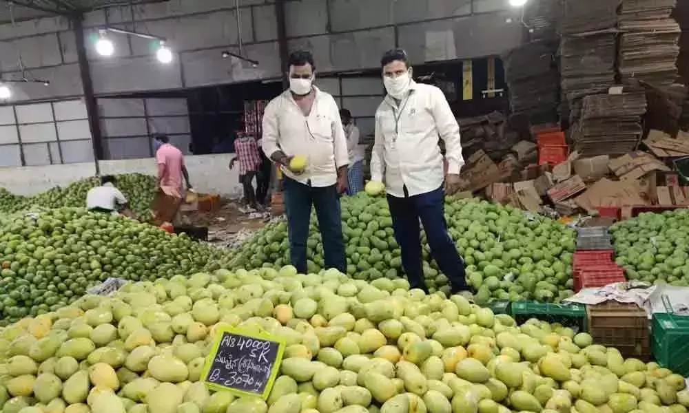 Coronavirus Effect on Mango Farmers
