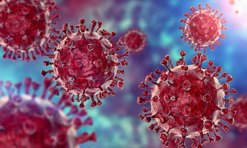 Coronavirus: Maharashtra Mutant Infecting more than UK variant in India