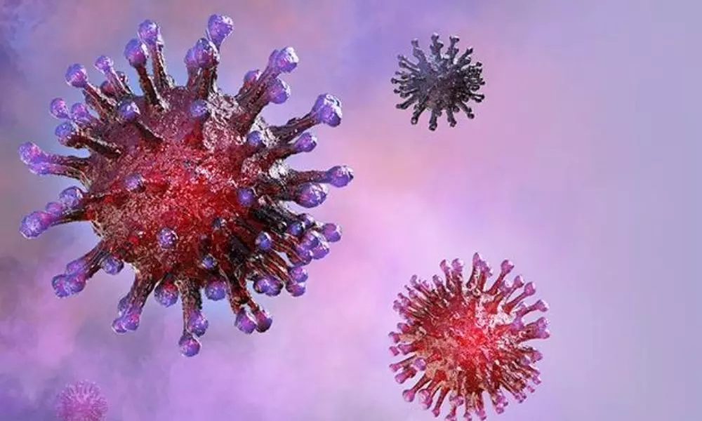 Coronavirus Slow Down Start in All Over India
