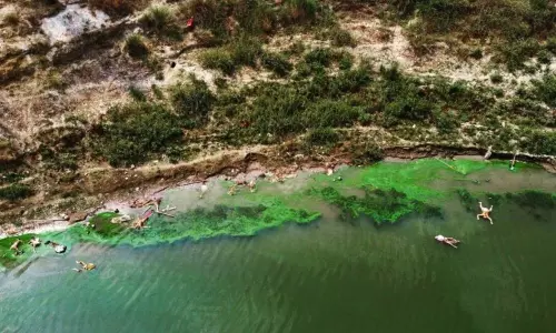 Ongoing Dead Bodies Issue in Ganga River at UP And Bihar Ongoing Dead Bodies Issue in Ganga River at UP And Bihar