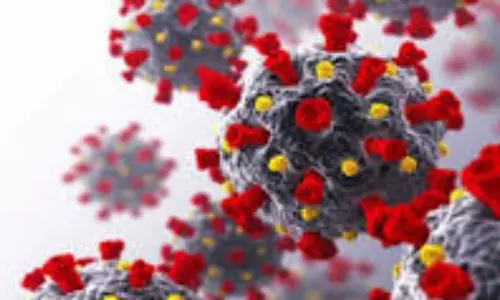 Black Fungus Cases Founded in Prakasam District