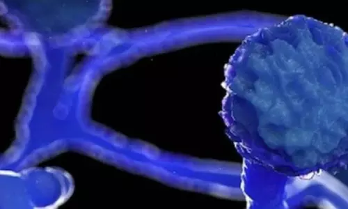 Black Fungus Tension in Telugu States Black Fungus Tension in Telugu States