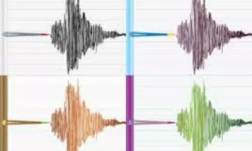 Earthquake of 5.3 Magnitude Hits Nepal
