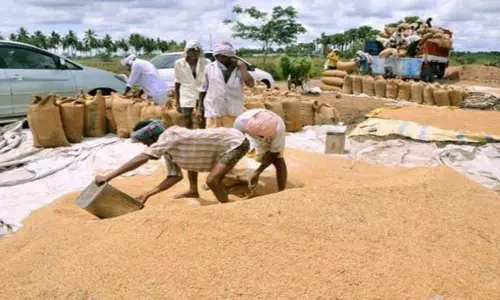 Coronavirus Effect on Farmers Coronavirus Effect on Farmers