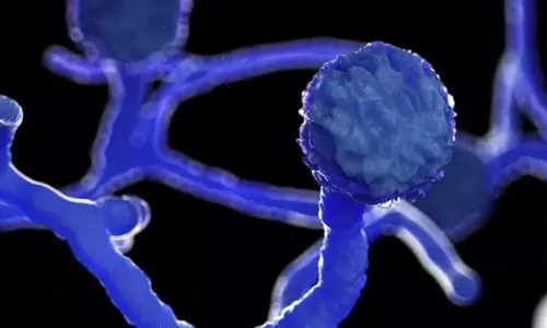 Black Fungus Cases in India