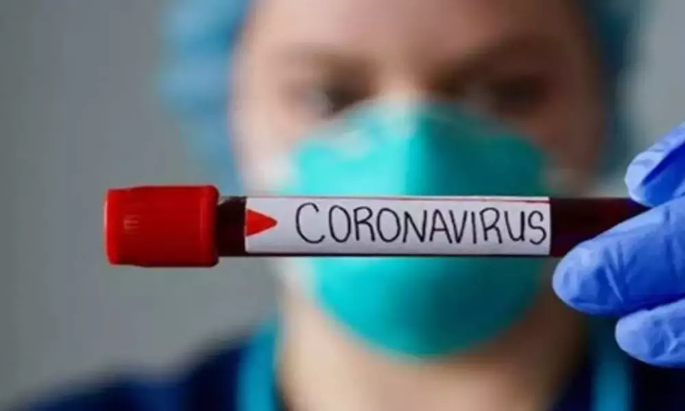 Corona Virus Positive Cases Telagana