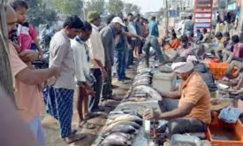 City Dwellers Break the Lockdown Rules in Hyderabad