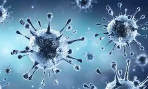 Coronavirus Tension in east Godavari District Government Employees