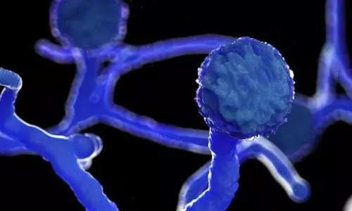 Black Fungus Cases Rise in Chittoor District