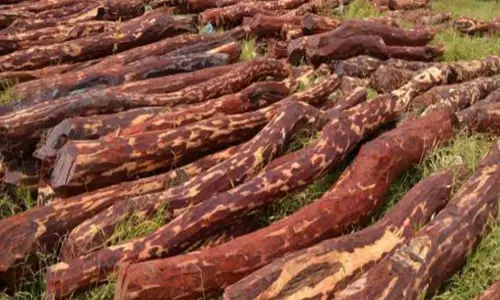 Jabardasth: ఎర్రచందనం స్మగ్లింగ్ కేసులో జబర్దస్త్ కమెడియన్