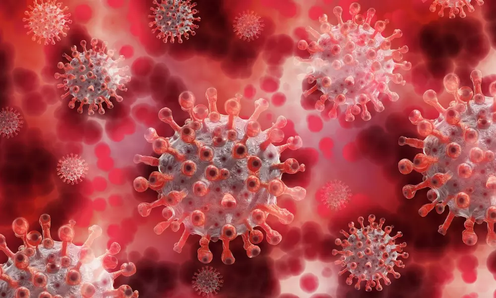 14429 New Coronavirus Cases Reported in Andhra Pradesh Today 28 05 2021