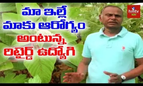 Retired Employee Terrace Gardening | Terrace Gardening Ideas