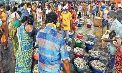 Fish Markets are Full With Publick in Weekends