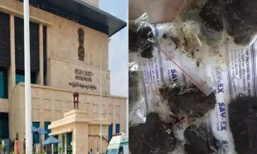 High Court Hearing on Anandayya Ayurvedic Medicine Distribution High Court Hearing on Anandayya Ayurvedic Medicine Distribution