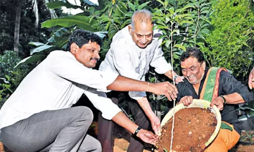 Hero Super Star Krishna Participated in Green India Challenge