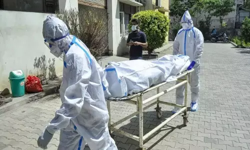 Corona Deaths Decreased in India