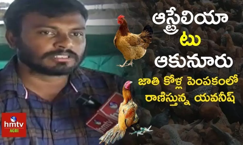 Desi Hen Farming | Young Farmer Success Story