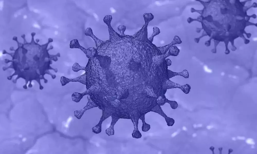 Coronavirus Expanding in East Godavari District