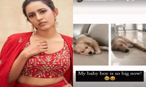 Niharika Konidala Says pet Buzz Growing now