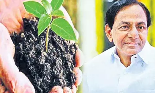 World Environment Day: Protect Environment, Says CM KCR