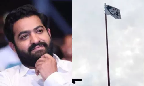 NTR Flag In Kuppam