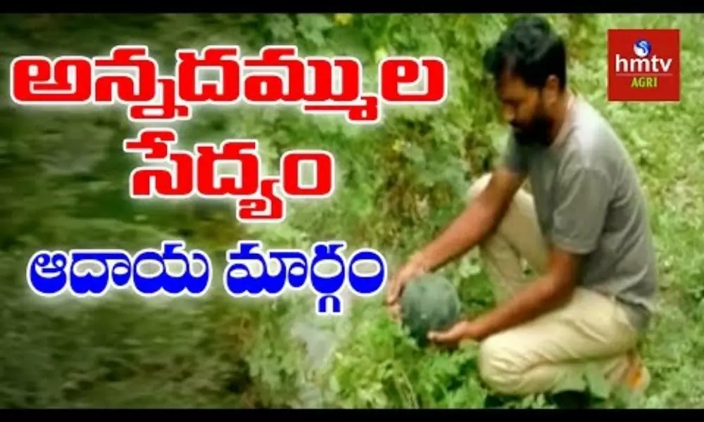 hmtv Special Story on Young Farmers