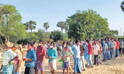 Anandayya Ayurvedic Medicine Distribution From Today